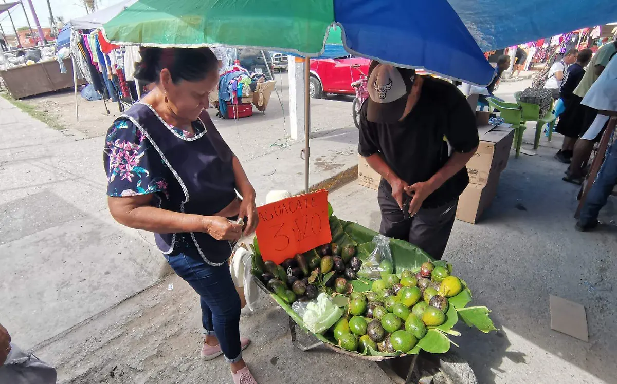 Ofertan aguacate criollo en mercados rodantes Alfredo Márquez (2)